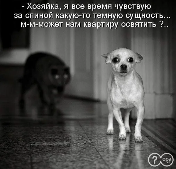 1288675324_716757.webp