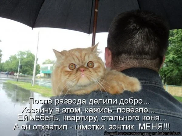 1288778495_kotomatrix_24 (1).webp