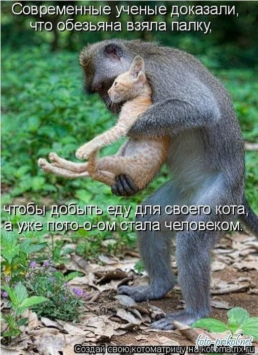 1291396934_foto-prikol.net_samye-ugarnye-kotomatricy-46.webp
