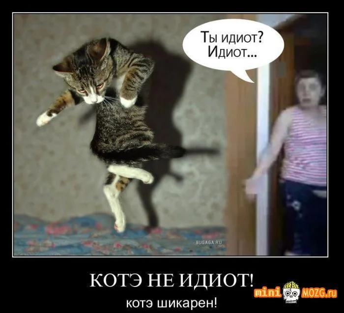 1291802767_kokuny86w2sahre.webp