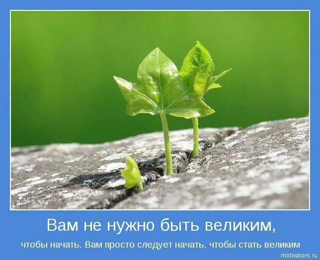 1295194361_moyrolik28.webp