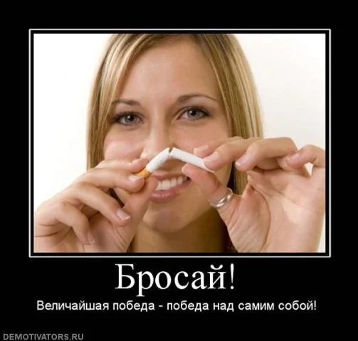 1297523225_a1de679b859f.webp