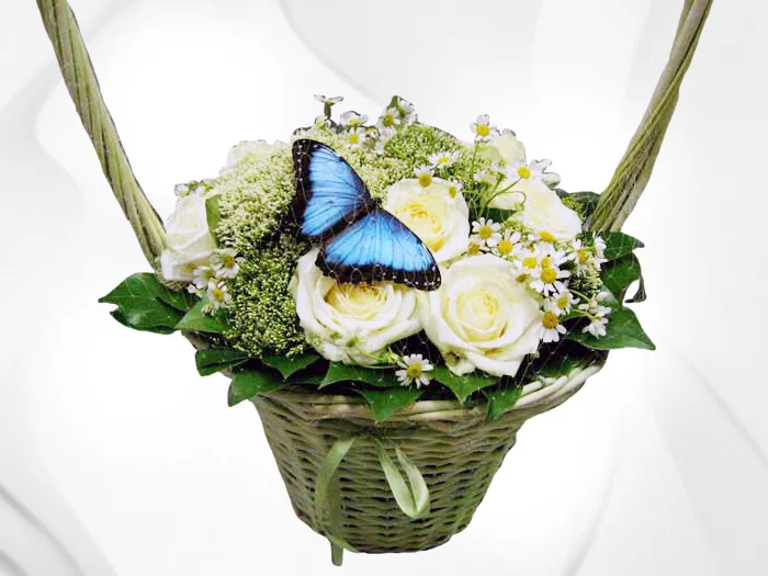 13.09.11_08-50-48_f1b6501b0de9970539ebca3c17d7b89a 2.webp