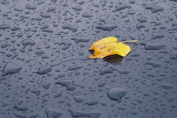 13.09.2 uqdlbvaibkmkcuejie.webp