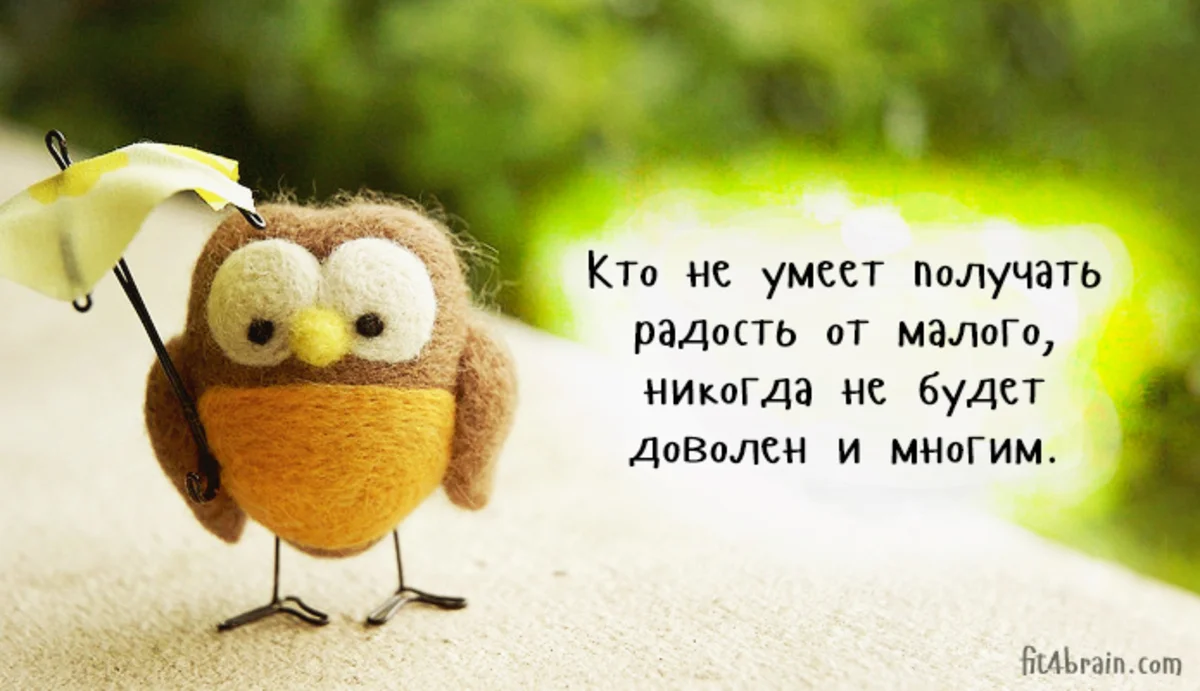 13[1].webp