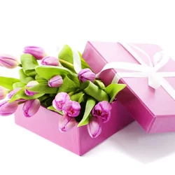 13(11).webp