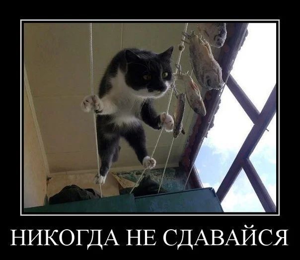 13-5 Костантинусс.webp