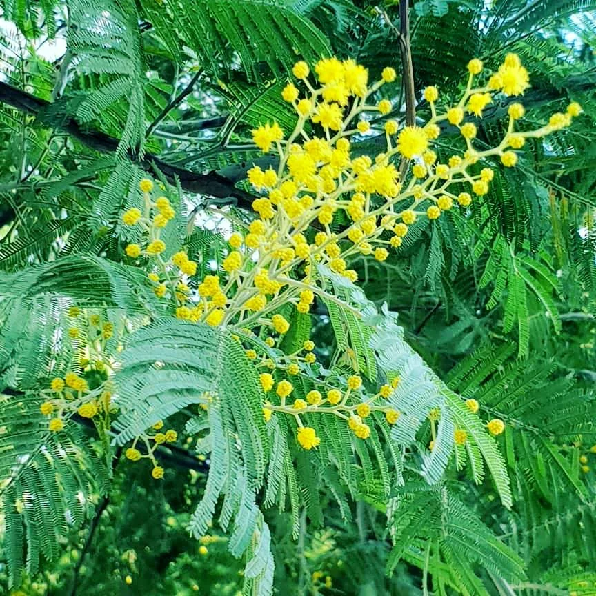 13 @michail krd.webp