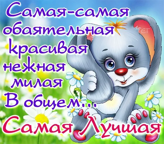 13.webp