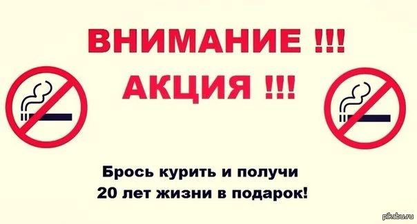 13.webp