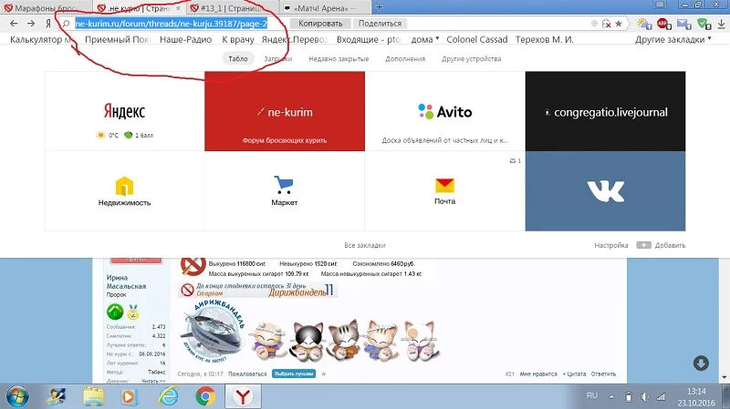 13.webp