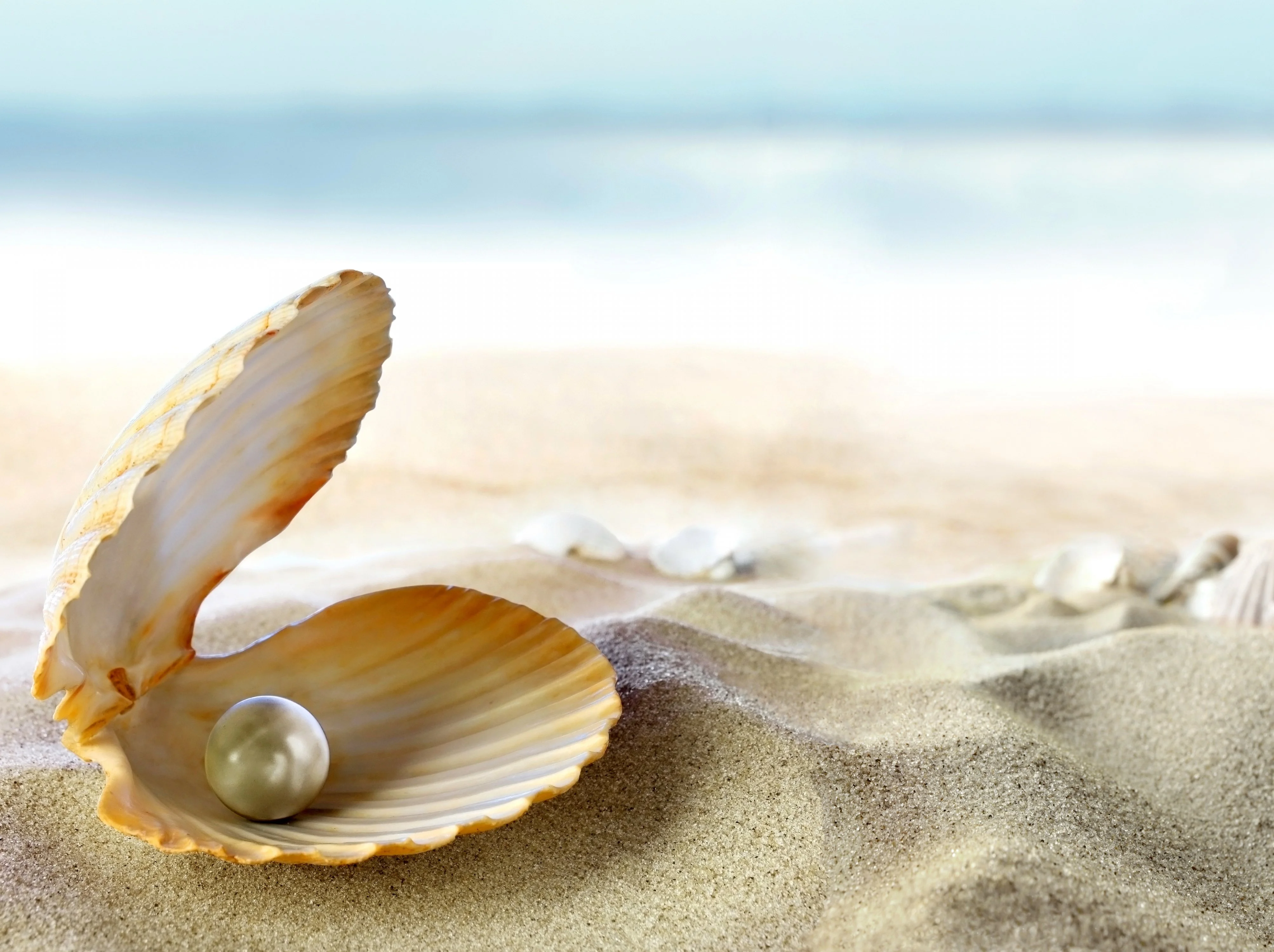 130.webp