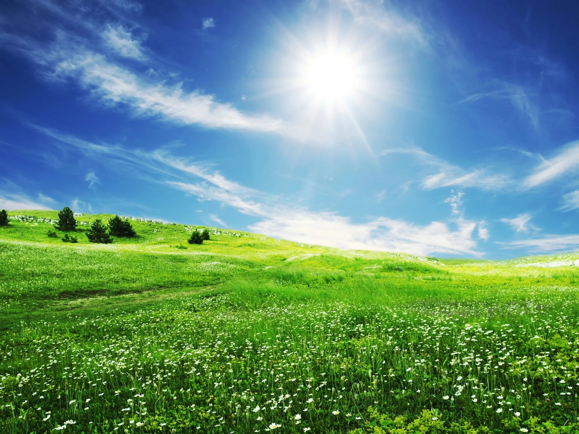 1300132380_nature-79_nevseoboi.com.ua.webp