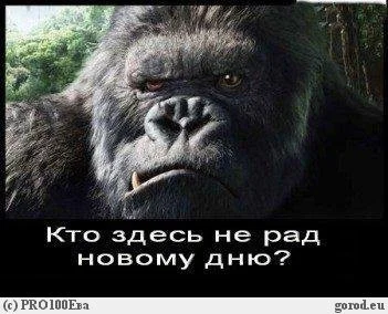 1308645426_b_post10460561.webp
