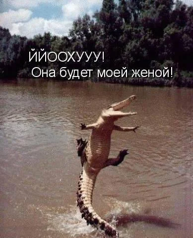 1311860276_1311720714_1257146853_10862_48a1892f751781 (1).webp