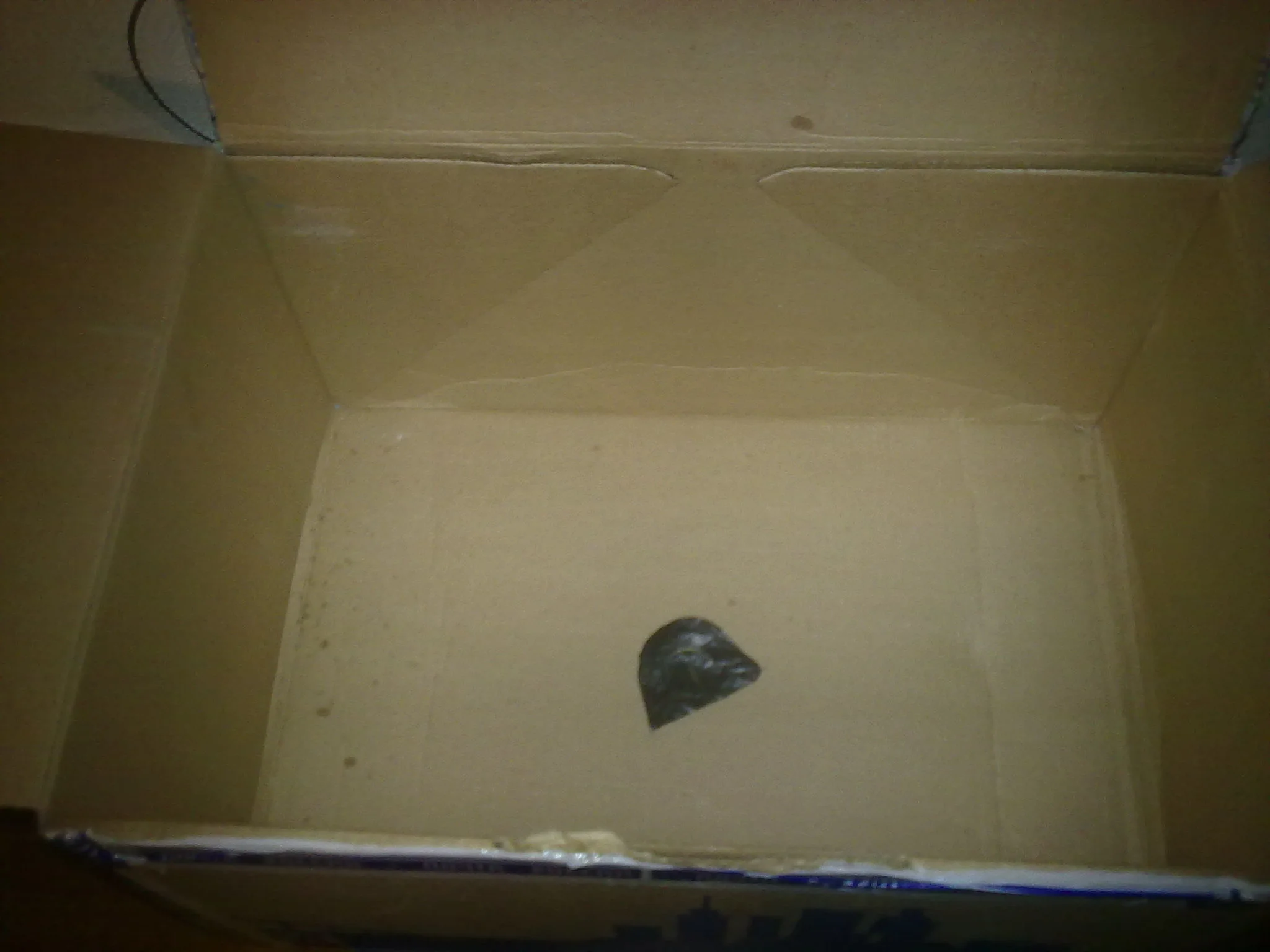 131220168764[1].webp