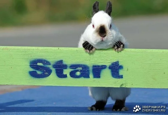 1314568413_3.webp