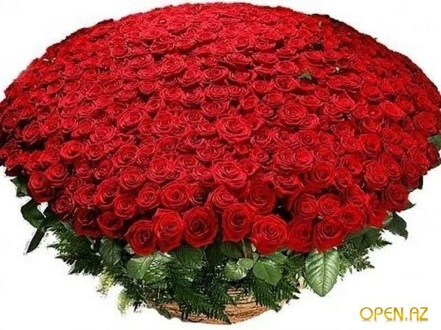 1314613011_y_d2174479.webp