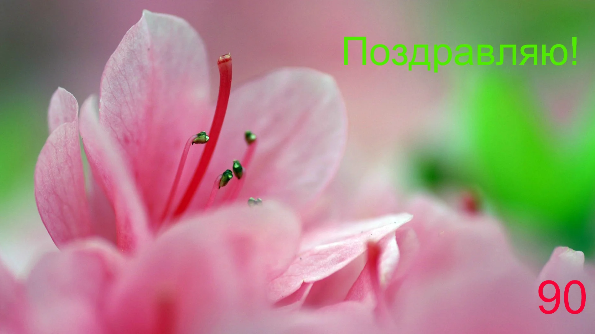 1315953341_27_www.webp