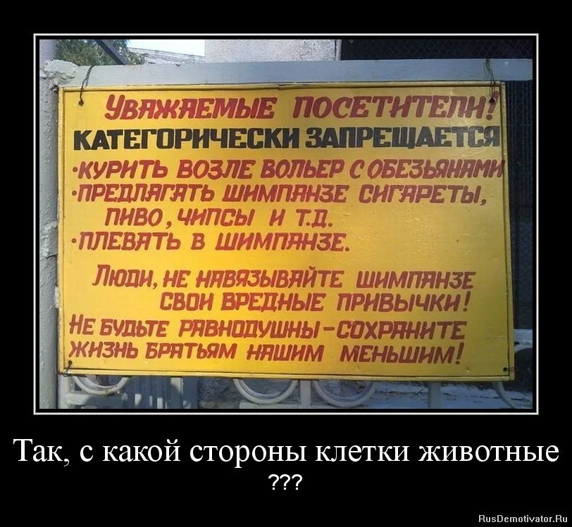 1319019991-tak-s-kakoj-storony-kletki-zhivotnye.webp