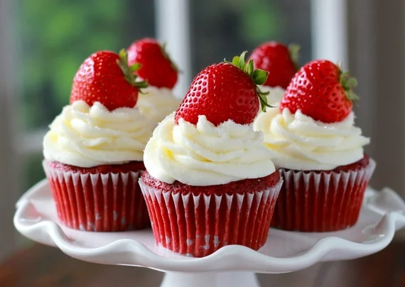 13192_large.webp