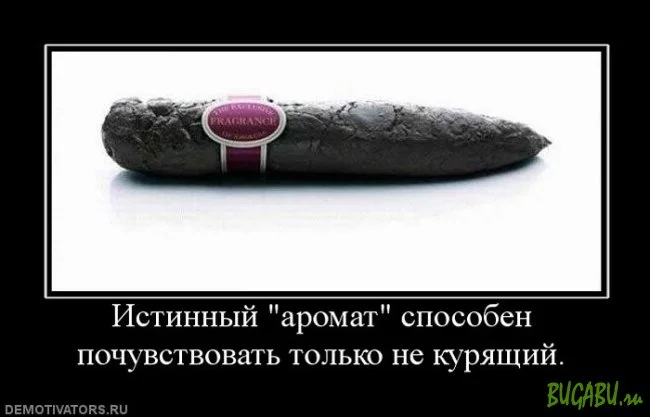 1319491738_bugabu.ru_25-1.webp