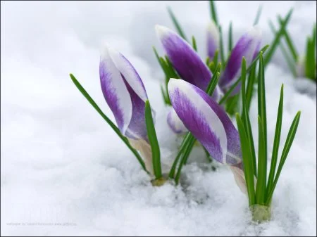 1322687766_jailbird.ru_0311.webp