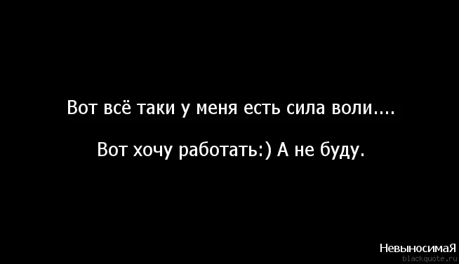 1325448271.webp