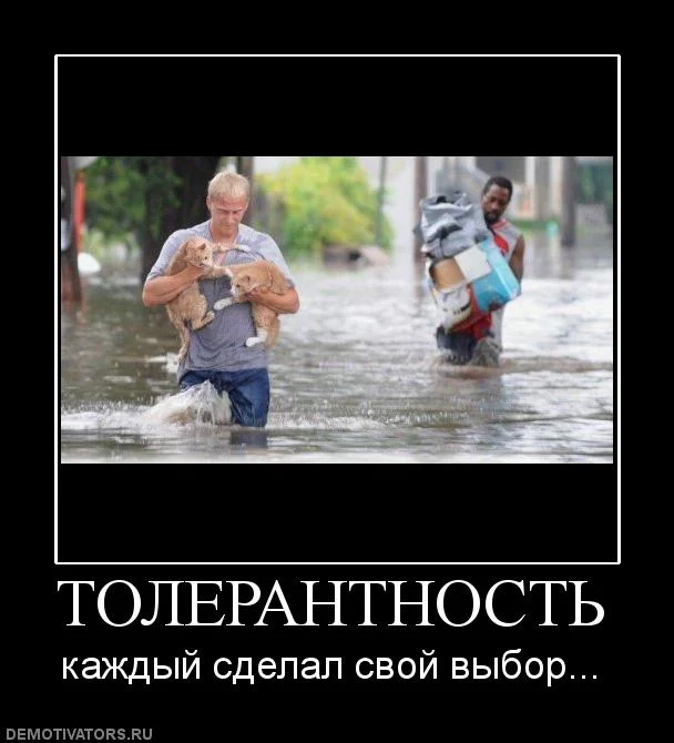 1328622670_542112_tolerantnost.webp
