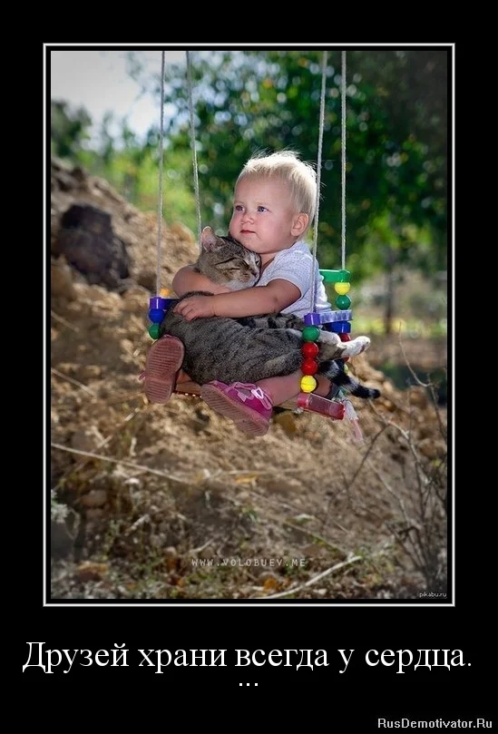 1329409535-druzej-xrani-vsegda-u-serdca..webp