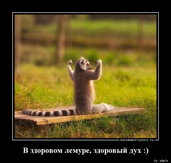 1330154624_V-zdorovom-lemure-zd_bestdemotivators.ru.jpg