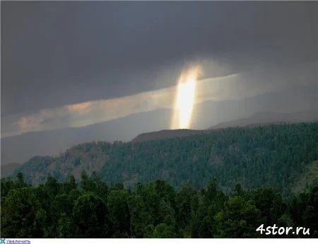 1330241942_87ac757f516dt.webp