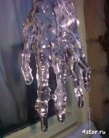 1330241954_x_66c13a6a.webp