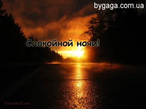 1330898169_spokoinoy_nochi.kartinki-14.webp