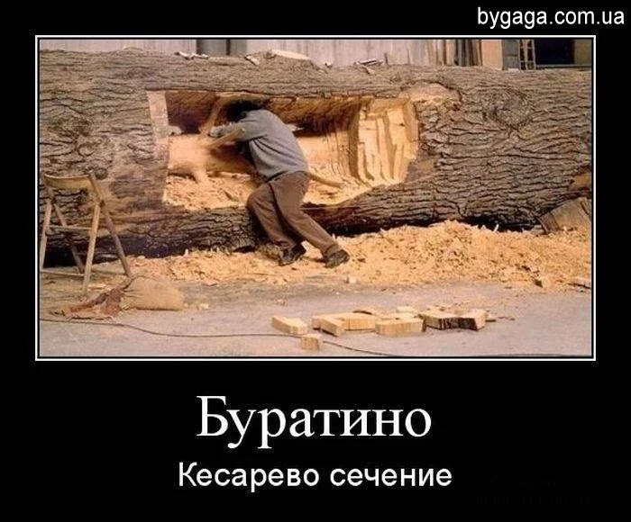 1332099209_bygaga.com.ua_demotivatori-12.webp
