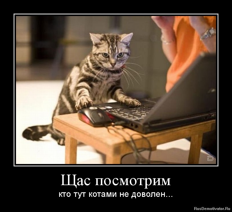 1332449916-shhas-posmotrim.jpg