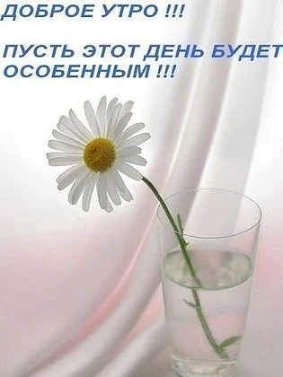1333098359_kartinki-s-dobrym-utrom-10.webp