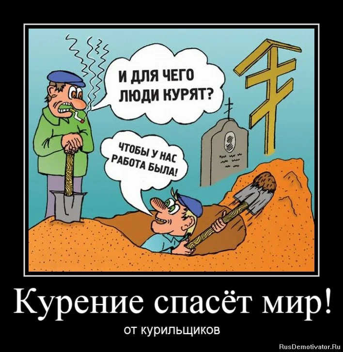 1333924172_423564326423 (1).webp