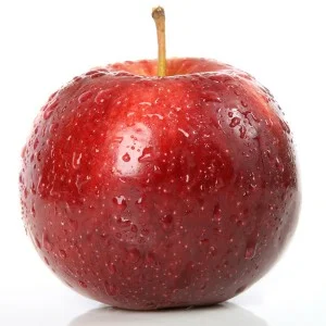 13342418940737.webp