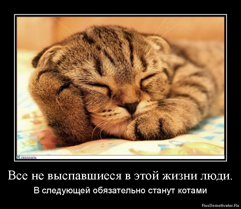 1334911102-vse-ne-vyspavshiesya-v-yetoj-zhizni-lyudi..webp
