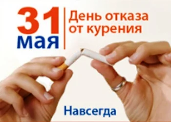133845672259007128 (1).webp