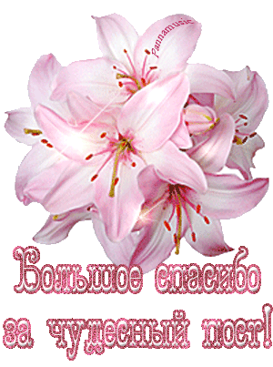 133876711_bolshoe_spasibo_za_chudesnuyy_post.gif