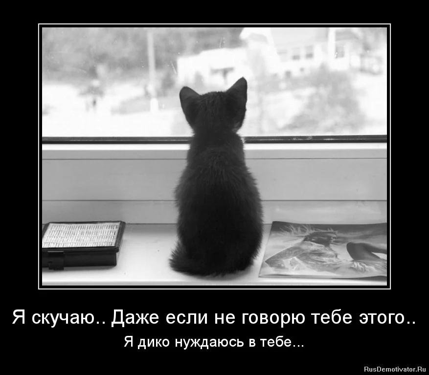 1338850419-ya-skuchayu..-dazhe-esli-ne-govoryu-tebe-yetogo...webp