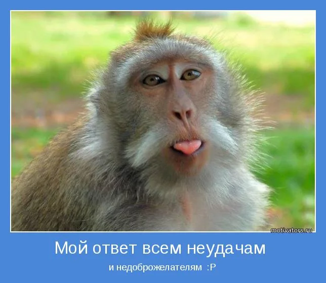 1342085068_prikolnye-pozitivnye-motivatory-33.webp