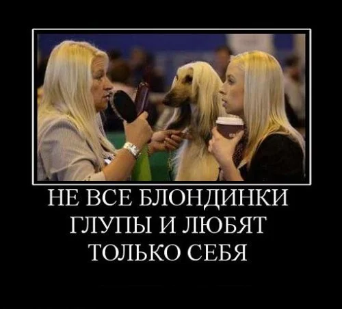 1342680851_demblond-45!.webp