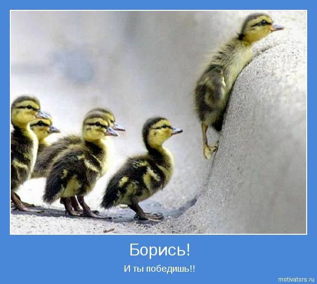 1343301692_033.webp