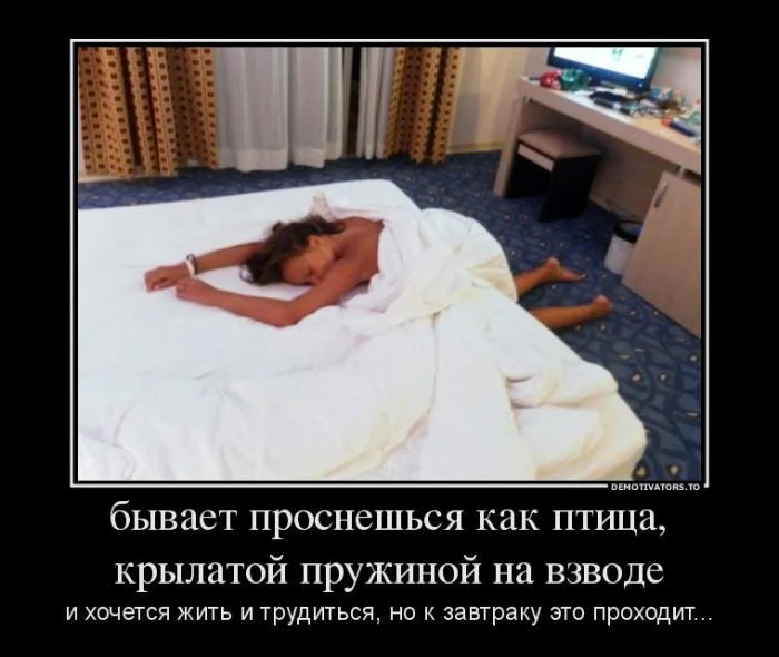 1345448609_demotivators_32.webp