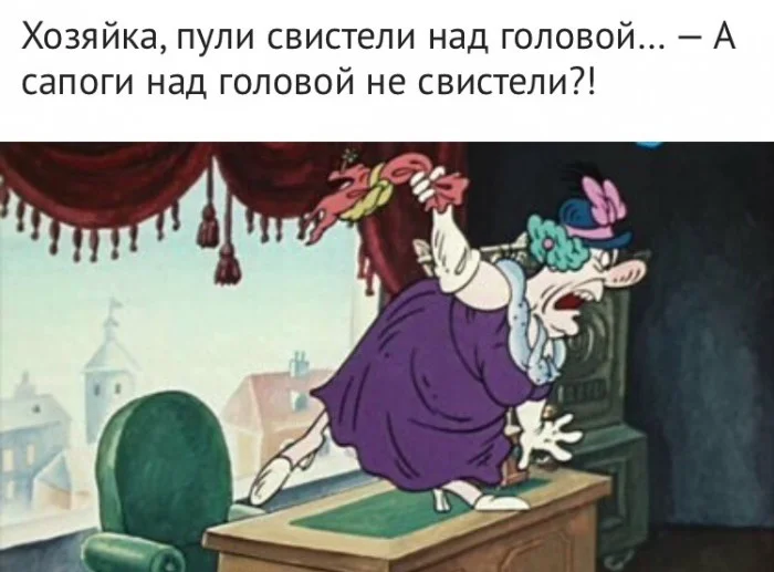 13494804.webp