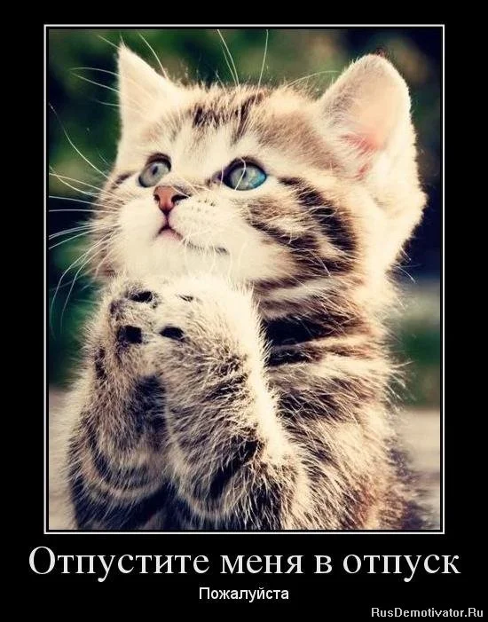 1351682724_57696537_nu-otpustite-menya-v-otpusk.webp