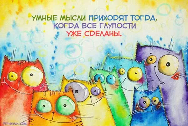 1352397617_2.webp